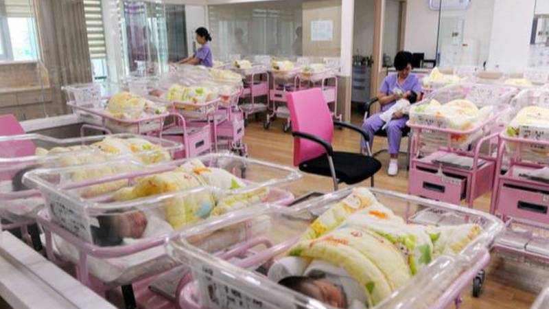 财政转移支付的深层逻辑:从数据图谱看区域均衡之道 股票财经