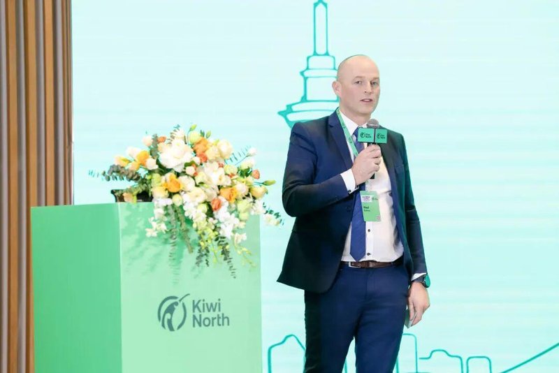 被过度包装的远方?深度剖析新西兰北岛的真实魅力 文化旅游