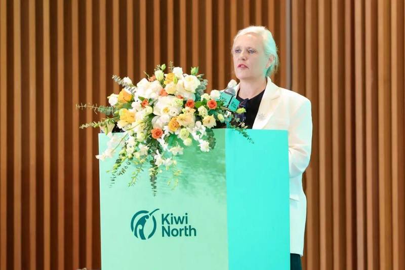 被过度包装的远方?深度剖析新西兰北岛的真实魅力 文化旅游