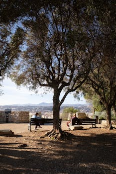  俄罗斯掌控扎波罗热核电站；安全重启在即，电力供应乌克兰待商议。 新闻 俄罗斯掌控扎波罗热核电站；安全重启在即，电力供应乌克兰待商议。 新闻