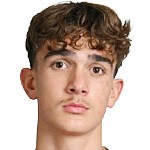  英超最年轻进球者道曼迎来新阶段；家人持证上岗，职业前景更添保障。 体育新闻