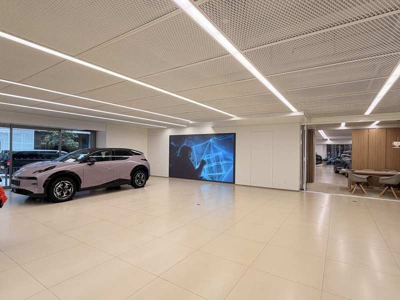  万车空巷：一场关乎补贴倒计时的购车博弈 新闻