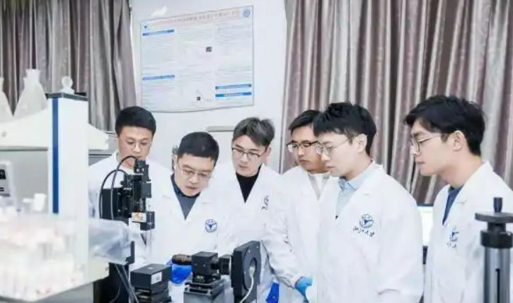  量子破局：硅基芯片全栈逻辑运算的底层逻辑与实现路径 IT技术