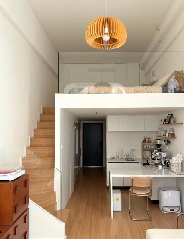  【深度拆解】单身公寓为什么从香饽饽变成烫手山芋？一份来自真实居住者的技术复盘报告 房产家居