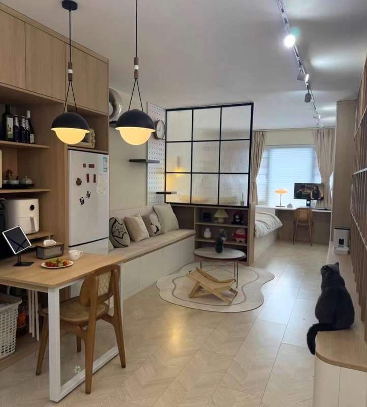  【深度拆解】单身公寓为什么从香饽饽变成烫手山芋？一份来自真实居住者的技术复盘报告 房产家居