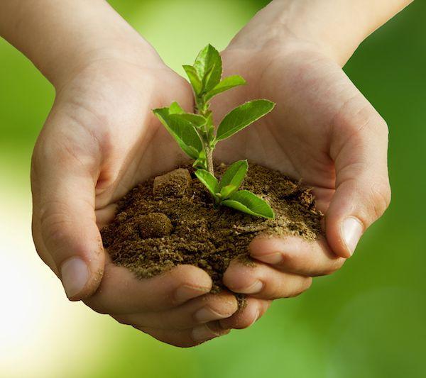 节能降碳新政策深度解读：18条硬核举措背后的产业变局 新闻