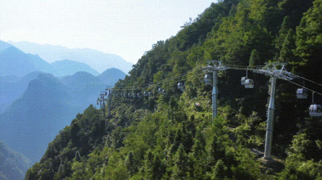  抖音重拳出击黑产导流：技术治理的深度解析与平台生态思考 IT技术