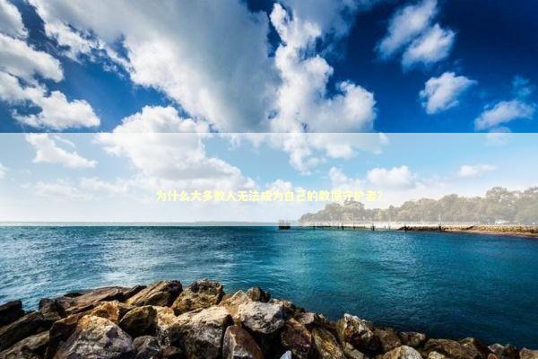 为什么大多数人无法成为自己的数据守护者？ IT技术