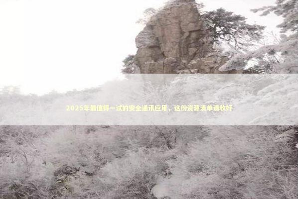 2025年最值得一试的安全通讯应用，这份资源清单请收好 IT技术