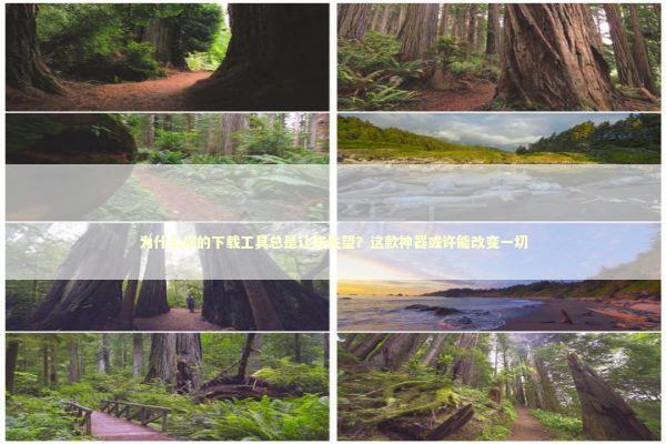 为什么你的下载工具总是让你失望？这款神器或许能改变一切 IT技术