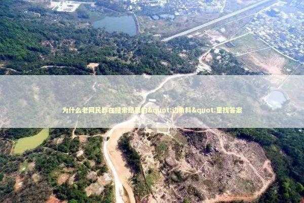 为什么老网民都在搜索结果的"边角料"里找答案 IT技术