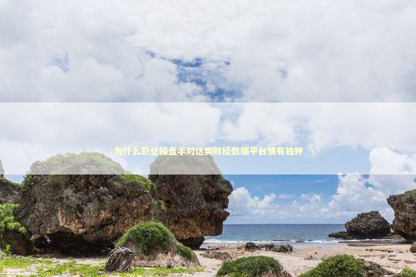 为什么职业操盘手对这类财经数据平台情有独钟 股票财经