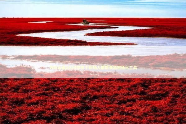 为什么说2024年每个职场人都需要加密通讯工具 IT技术