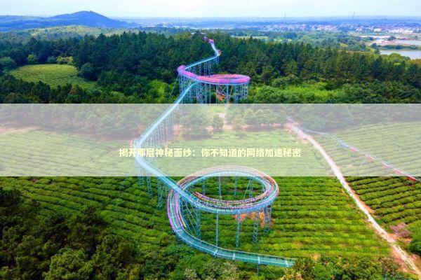 揭开那层神秘面纱：你不知道的网络加速秘密