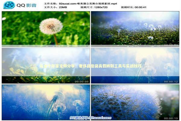 从业十年鉴定师分享：奢侈品包袋真假辨别工具与实战技巧 时尚用品