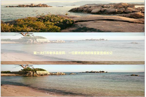 第一次打开奢侈品官网：一位都市白领的珠宝鉴赏成长记 时尚用品