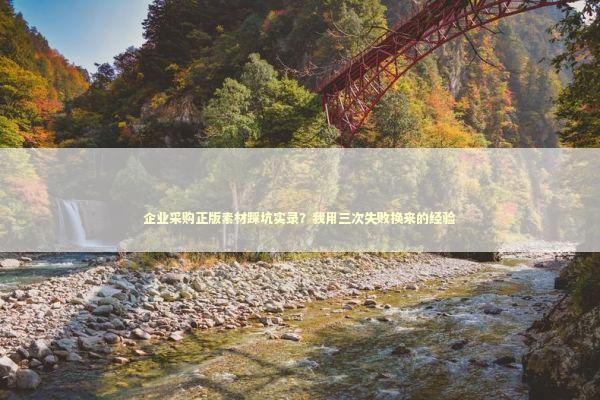 企业采购正版素材踩坑实录？我用三次失败换来的经验 企业服务