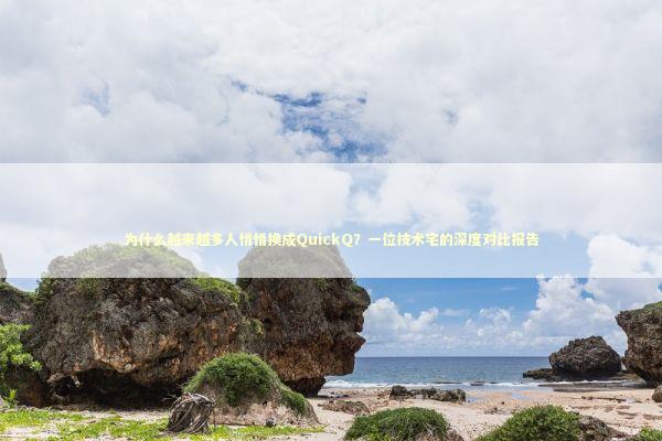 为什么越来越多人悄悄换成QuickQ？一位技术宅的深度对比报告 IT技术